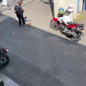 Video by pchan666 published on June 25,2023 22:03:00 - BestThots