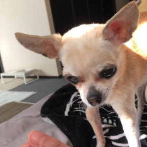 Video by pchan666 published on June 22,2023 19:21:00 - BestThots