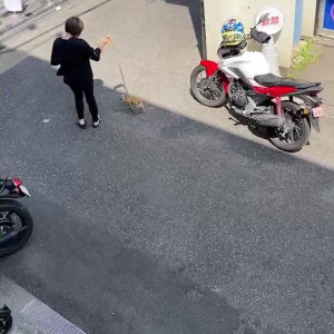 Video by pchan666 published on May 24,2023 14:07:00 - BestThots