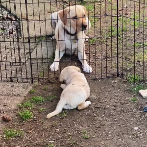 Video by emmastarseed published on May 26,2023 18:03:00 - BestThots