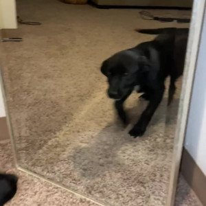 Video by celesteschmeckle published on August 26,2023 09:28:33 - BestThots