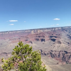 Video by nattygonewild published on April 30,2023 19:56:00 - BestThots