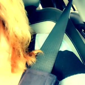 Video by call-me-horny published on June 24,2023 00:50:00 - BestThots