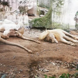 Video by yourgoldfish published on August 26,2023 10:50:00 - BestThots