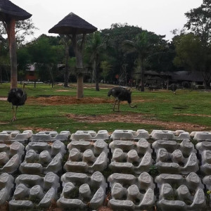 Video by yourgoldfish published on August 26,2023 10:59:00 - BestThots