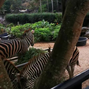 Video by yourgoldfish published on August 26,2023 10:49:35 - BestThots