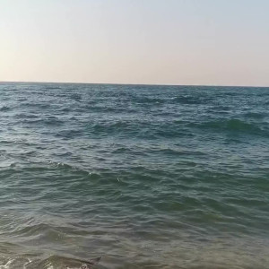 Video by yourgoldfish published on August 26,2023 11:06:45 - BestThots