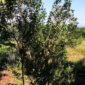 Video by yourgoldfish published on August 26,2023 10:55:00 - BestThots