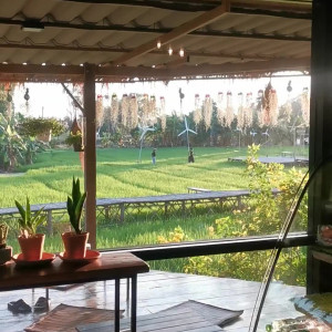 Video by yourgoldfish published on August 26,2023 11:08:23 - BestThots