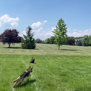 Video by doubledboatgirl published on May 4,2023 15:19:00 - BestThots