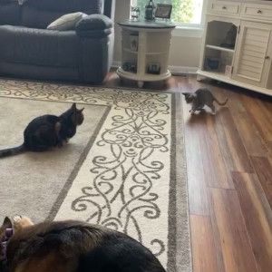 Video by doubledboatgirl published on July 11,2023 03:47:00 - BestThots