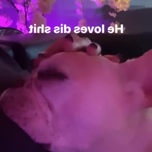 Video by undersiegexo published on August 1,2023 19:12:00 - BestThots