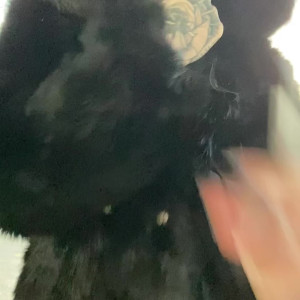Video by undersiegexo published on August 6,2023 21:29:00 - BestThots