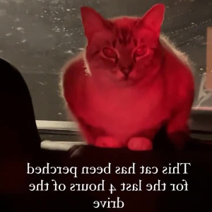 Video by undersiegexo published on August 14,2023 00:11:00 - BestThots