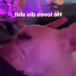 Video by undersiegexo published on June 8,2023 08:16:00 - BestThots