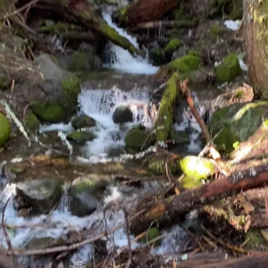 Video by undersiegexo published on July 7,2023 12:53:00 - BestThots