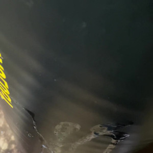 Video by jjc88 published on August 3,2023 06:59:00 - BestThots