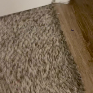 Video by daddysdestinyxo published on April 21,2023 15:31:00 - BestThots