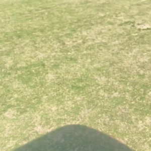Video by daddysdestinyxo published on April 9,2023 14:04:00 - BestThots