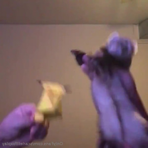 Video by scarlettfoxplay published on April 30,2023 02:59:00 - BestThots