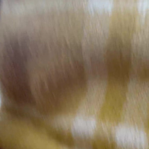 xxxlucylove #4463447