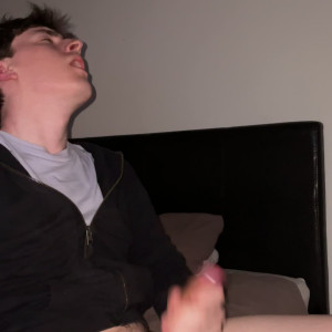 thealleycat #3637011