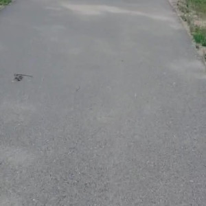 Video by qwiinbae published on August 26,2023 14:24:28 - BestThots