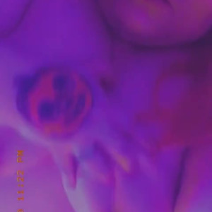 Video by thatfatgemini published on August 26,2023 14:28:36 - BestThots