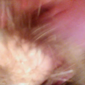 Video by monsterbait published on March 8,2023 20:52:00 - BestThots
