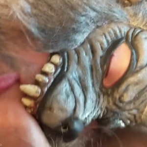 Video by monsterbait published on March 30,2023 11:01:00 - BestThots