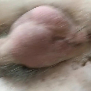 Video by monsterbait published on March 18,2023 07:21:00 - BestThots