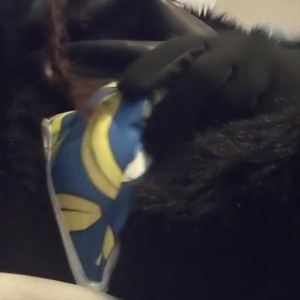 Video by monsterbait published on June 27,2023 14:41:00 - BestThots
