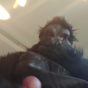 Video by monsterbait published on March 19,2023 06:35:00 - BestThots
