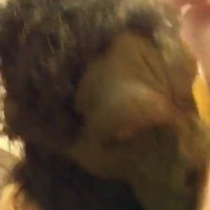 monsterbait #4632613