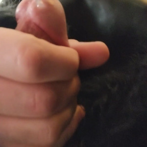 monsterbait #4647049