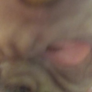 Video by monsterbait published on July 6,2023 23:40:00 - BestThots