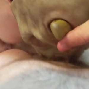 Video by monsterbait published on April 28,2023 03:17:00 - BestThots