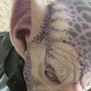 Video by monsterbait published on July 8,2023 17:03:00 - BestThots