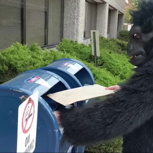 Video by monsterbait published on April 6,2023 18:46:00 - BestThots