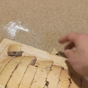 Video by monsterbait published on April 9,2023 16:27:00 - BestThots
