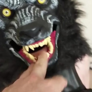 Video by monsterbait published on March 8,2023 03:48:00 - BestThots