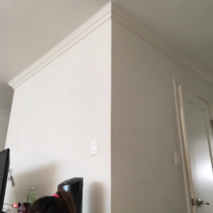 Video by avianaviolet published on March 26,2023 02:20:00 - BestThots