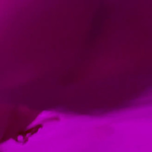 Video by avianaviolet published on July 7,2023 09:49:00 - BestThots