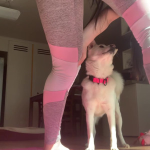 Video by yuriboler published on April 17,2023 06:16:00 - BestThots