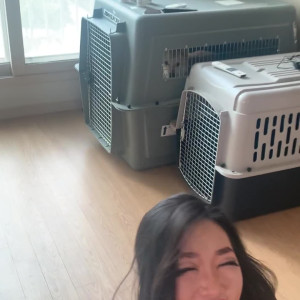 Video by yuriboler published on April 17,2023 03:41:00 - BestThots