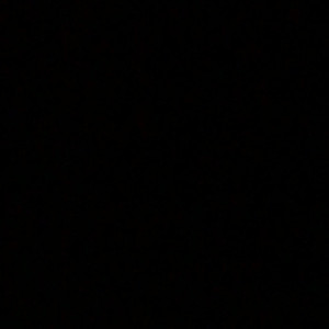 Video by succubunny_ published on July 18,2023 02:16:00 - BestThots