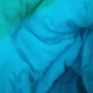 Video by stuffedoflove published on August 19,2023 22:34:00 - BestThots