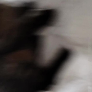 xamillafree #3638332