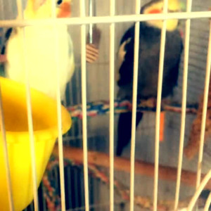 Video by alexahaneys1 published on May 22,2023 03:50:00 - BestThots