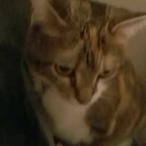 sqregina #3874749